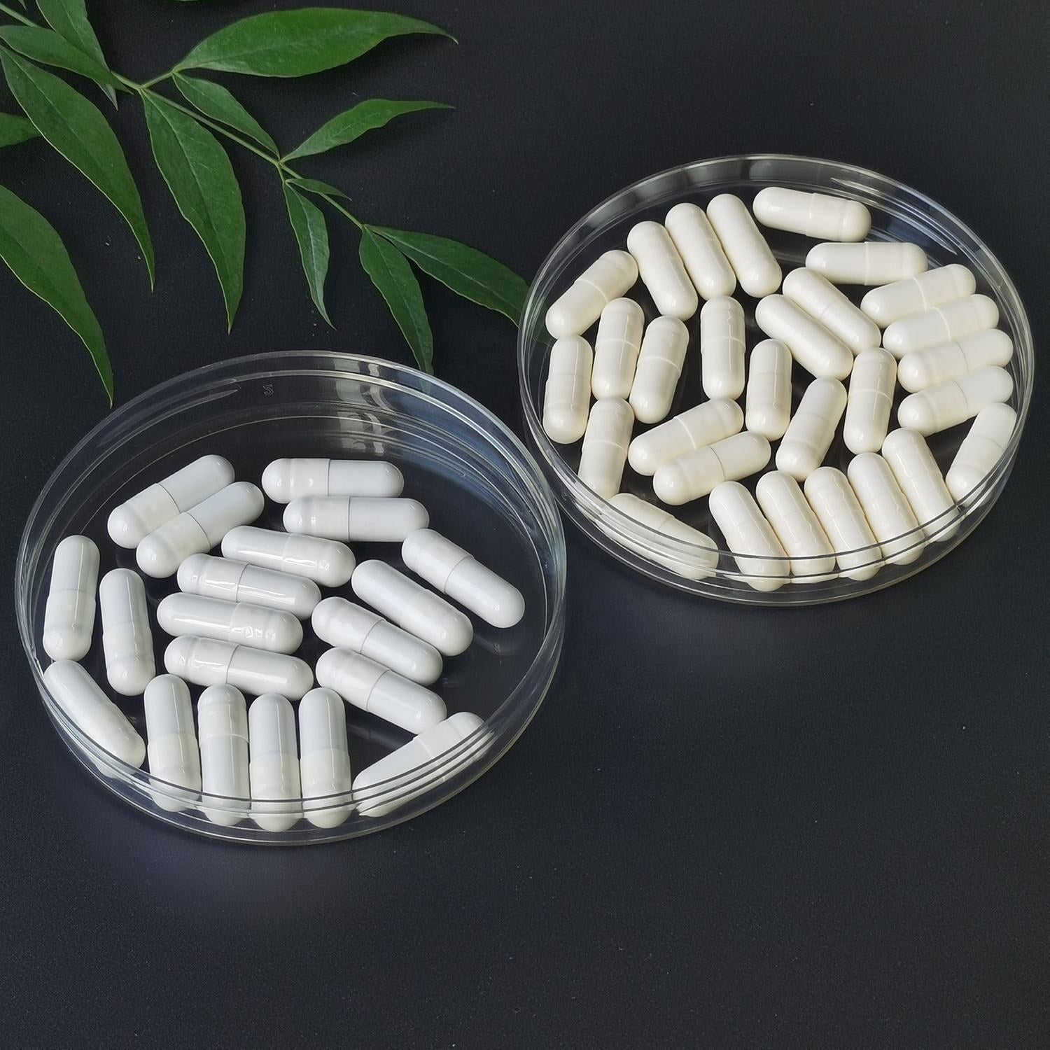 Women's Active B-Complex Capsules — B2, B6, B9 & B12 Daily Support — product photo 2
