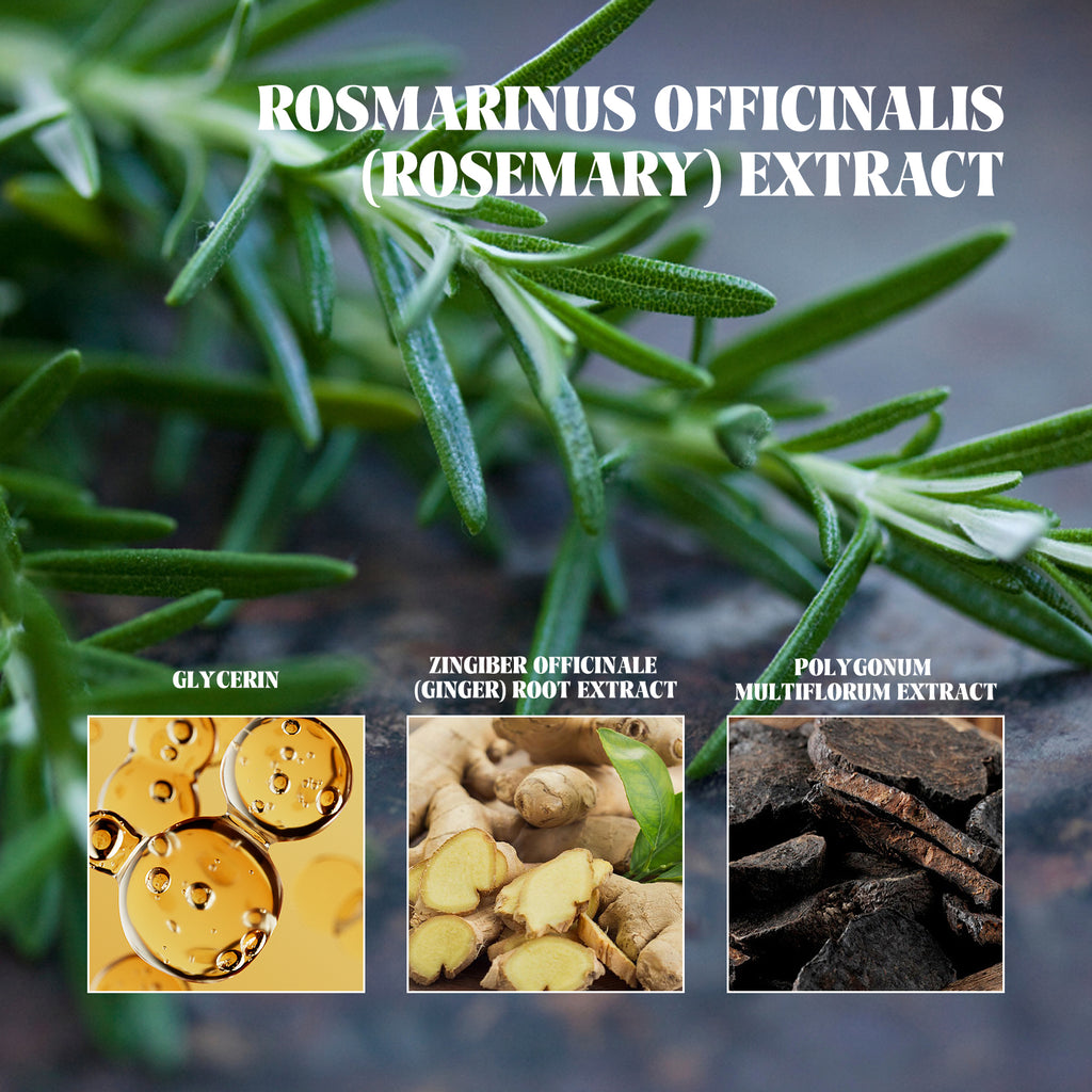 Rosemary & Ginger Hair Oil — Nourishing Scalp & Strand Hair Care Oil — product photo 3