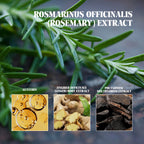Rosemary & Ginger Hair Oil — Nourishing Scalp & Strand Hair Care Oil — product photo 3