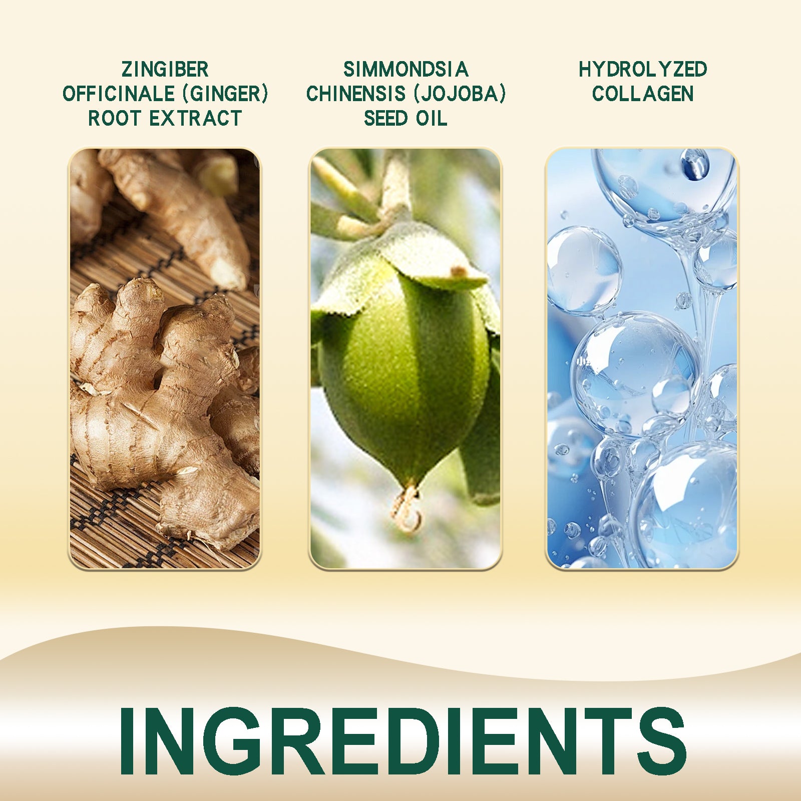 Ginger Scalp Hair Ointment — Nourishing Care for Fuller-Looking Hair — product photo 2