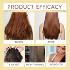 Jojoba Hair Oil — Non-Greasy Deep Nourishment for Soft, Silky Hair — product photo 4