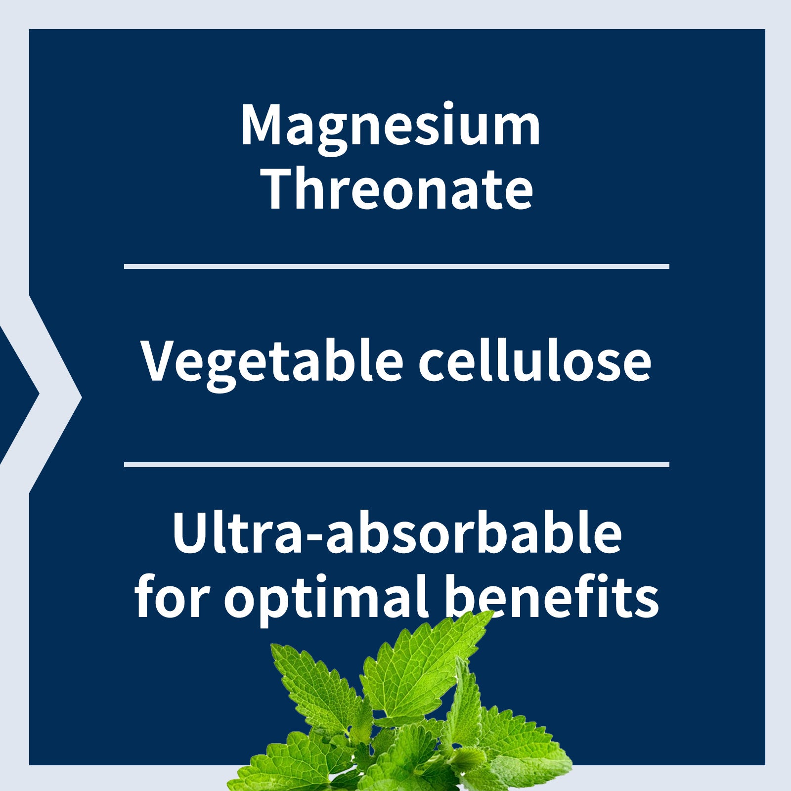 Magnesium L-Threonate Capsules — Mind & Clarity Support (60ct) — product photo 3