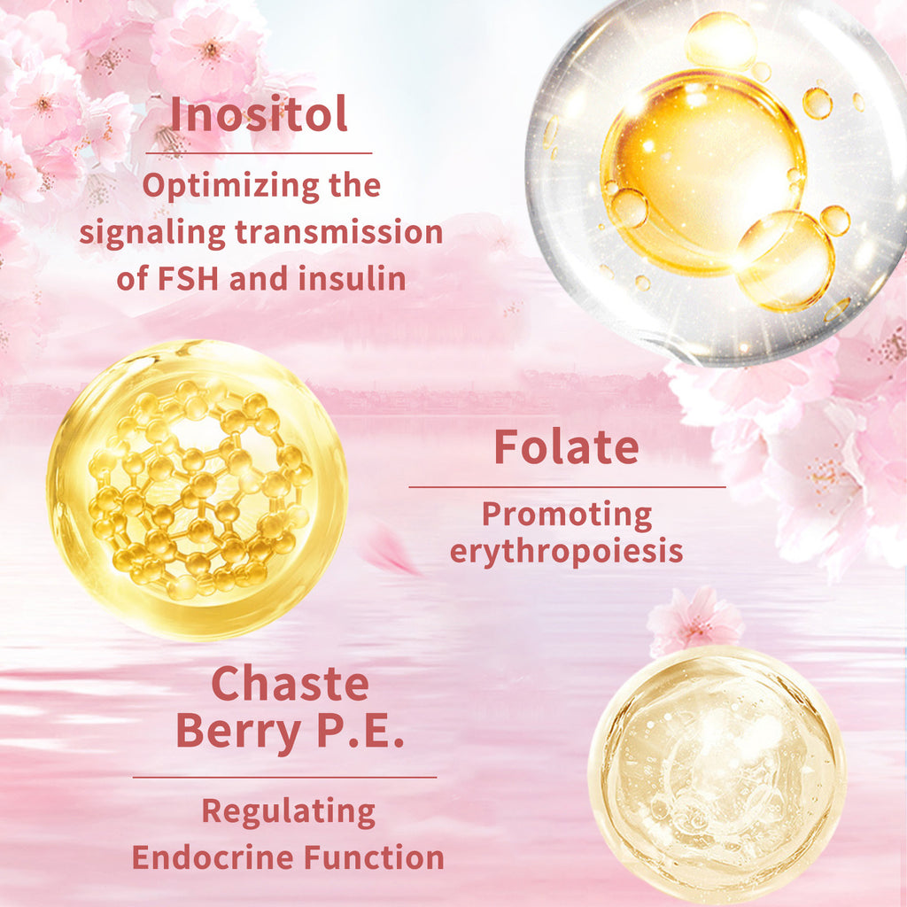 Women's Beauty Vitamin Capsules — Skin-First Daily Nutrition 60ct — product photo 4
