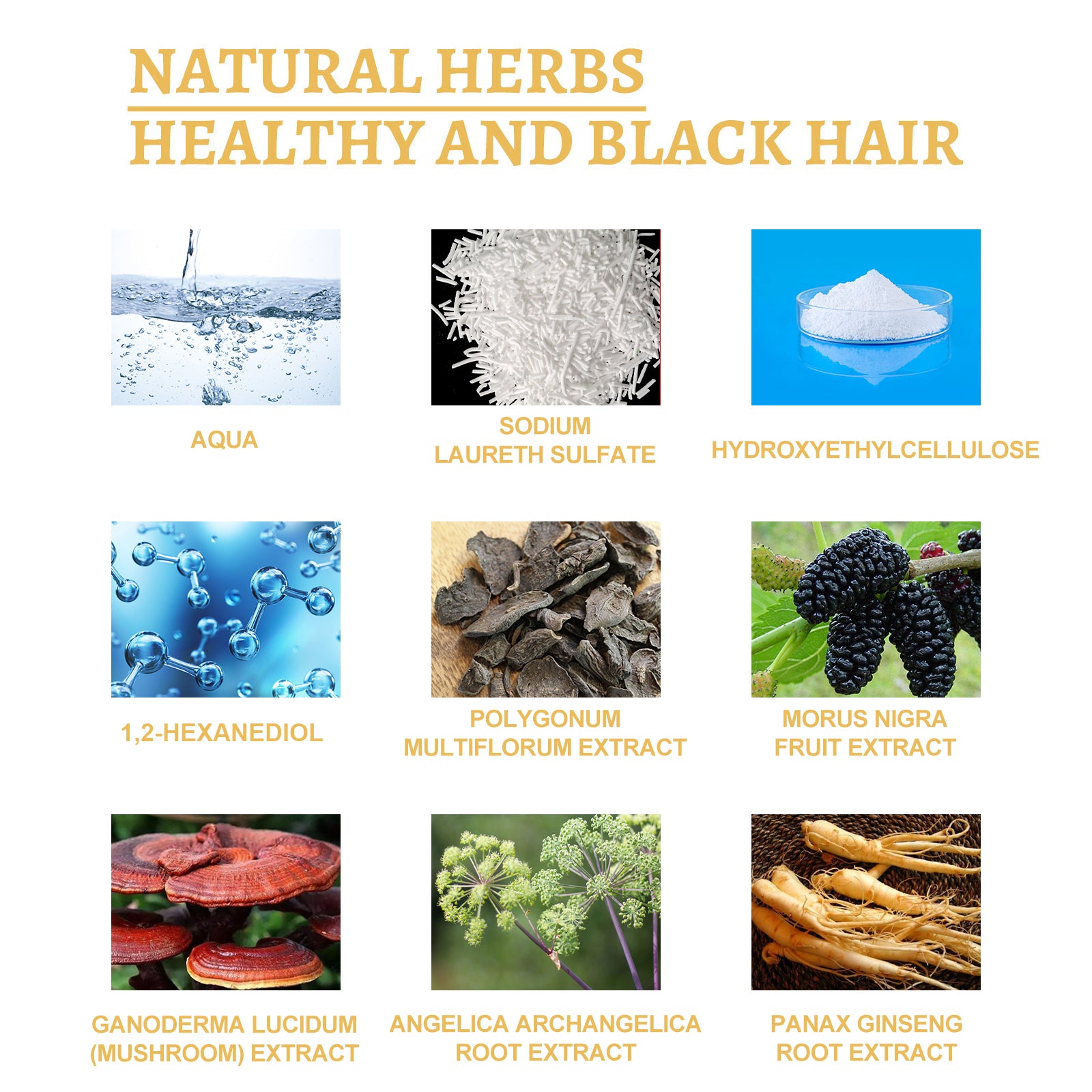 Ganoderma Scalp & Hair Essence — Nourishing Repair Hair Care — product photo 5